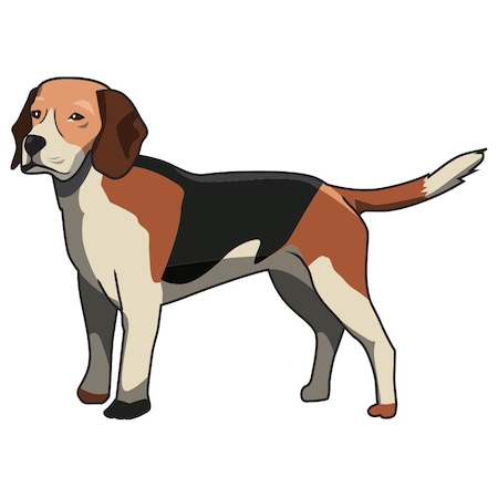 Signmission Harrier Dog Decal, Dog Lover Decor Vinyl Sticker D-12-Harrier